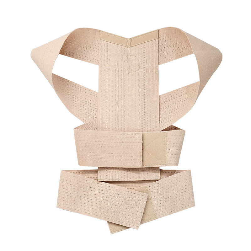 Back Support Brace Belt