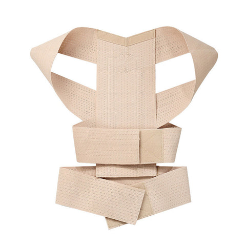 Back Support Brace Belt