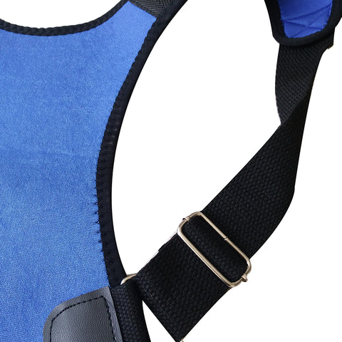 Back and Waist Support Belt