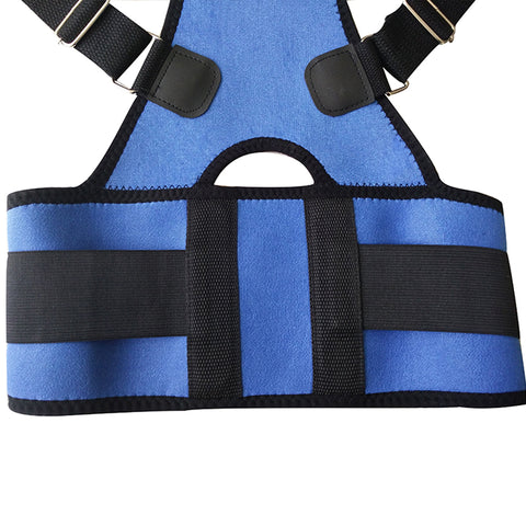 Back and Waist Support Belt
