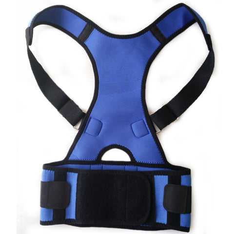 Back and Waist Support Belt